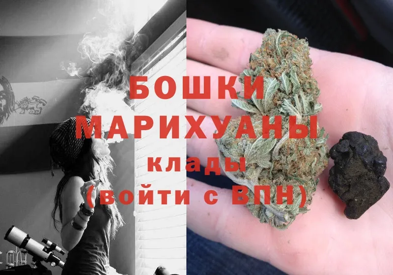 Канабис OG Kush  Россошь 